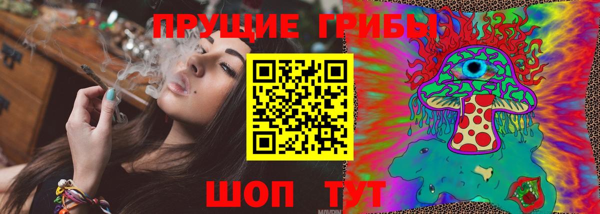 Дедовск  Галлюциногенные грибы Cubensis  Вход с VPN 